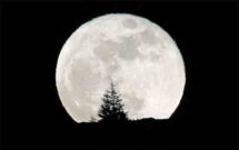 Çin Ay’da tarım yapıp ipekböceği yetiştirecek