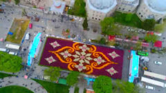 Dünyanın en büyük lale halısı havadan görüntülendi