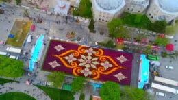 Dünyanın en büyük lale halısı havadan görüntülendi